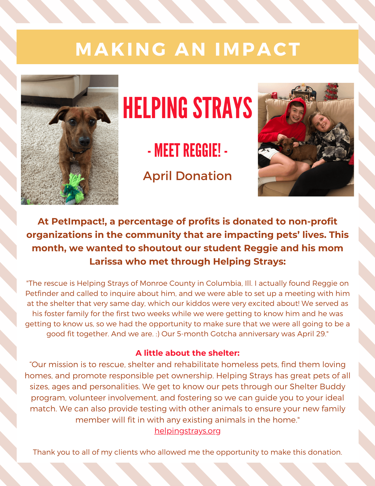 Flyer: A brown dog and two women with a dog, promoting helping stray animals. 