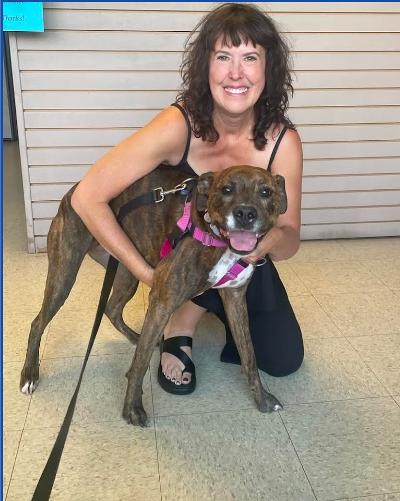 A woman is kneeling down next to a brown dog A woman is kneeling down next to a brown dog