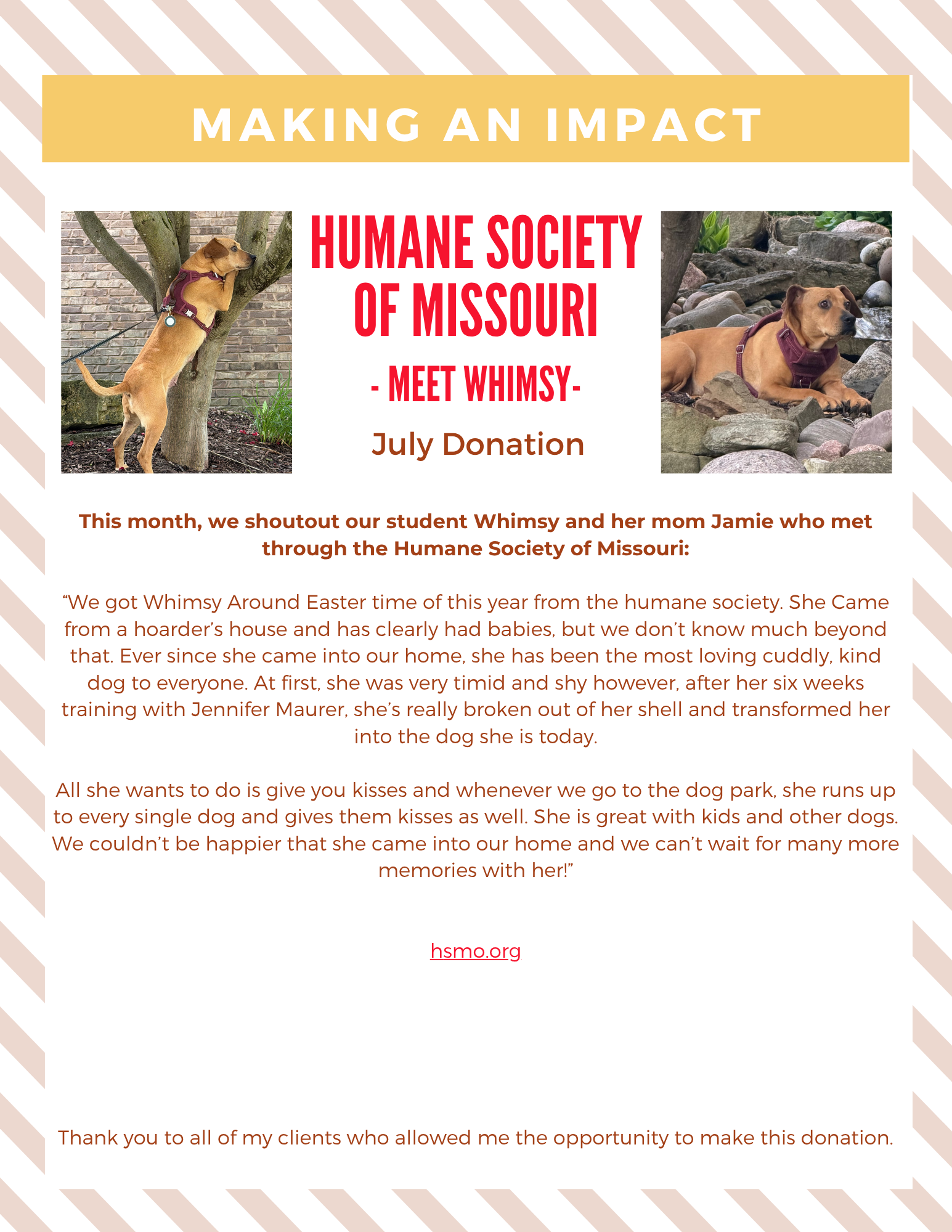 Humane Society of Missouri meet Whimsy July donation flyer with pet photos and yellow header