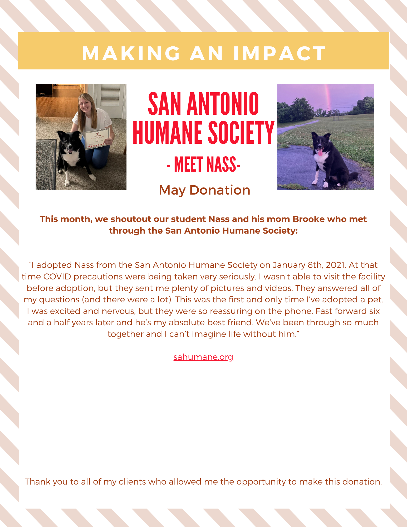 Newsletter about Making an impact, Humane Society of Missouri, and 2 images of dogs.
