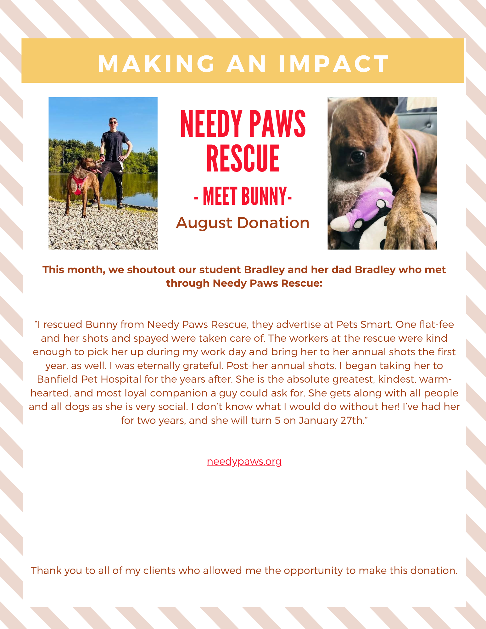 Humane Society of Missouri meet Whimsy August donation flyer with pet photos and yellow header