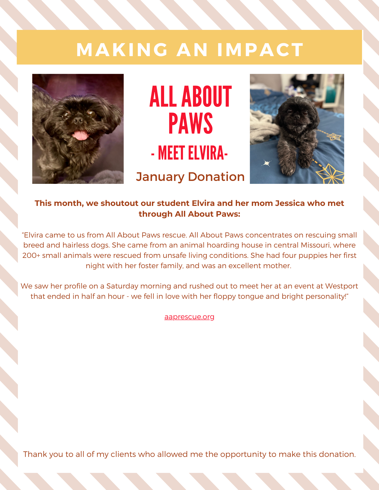 Newsletter about St. Louis County Animal Shelter featuring a dog named Nurfy and a woman named Megan.