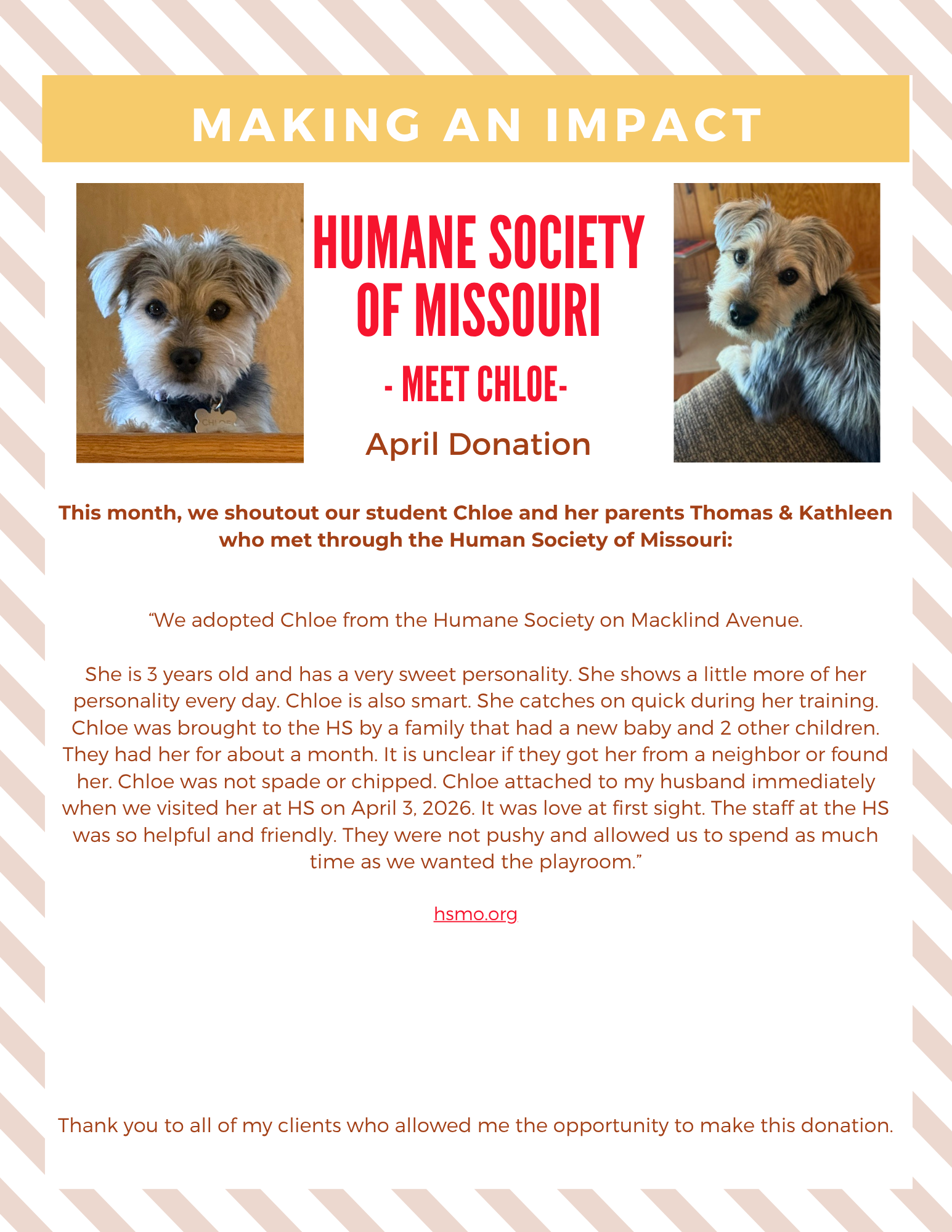Newsletter about Making an impact, Humane Society of Missouri, and 2 images of dogs.