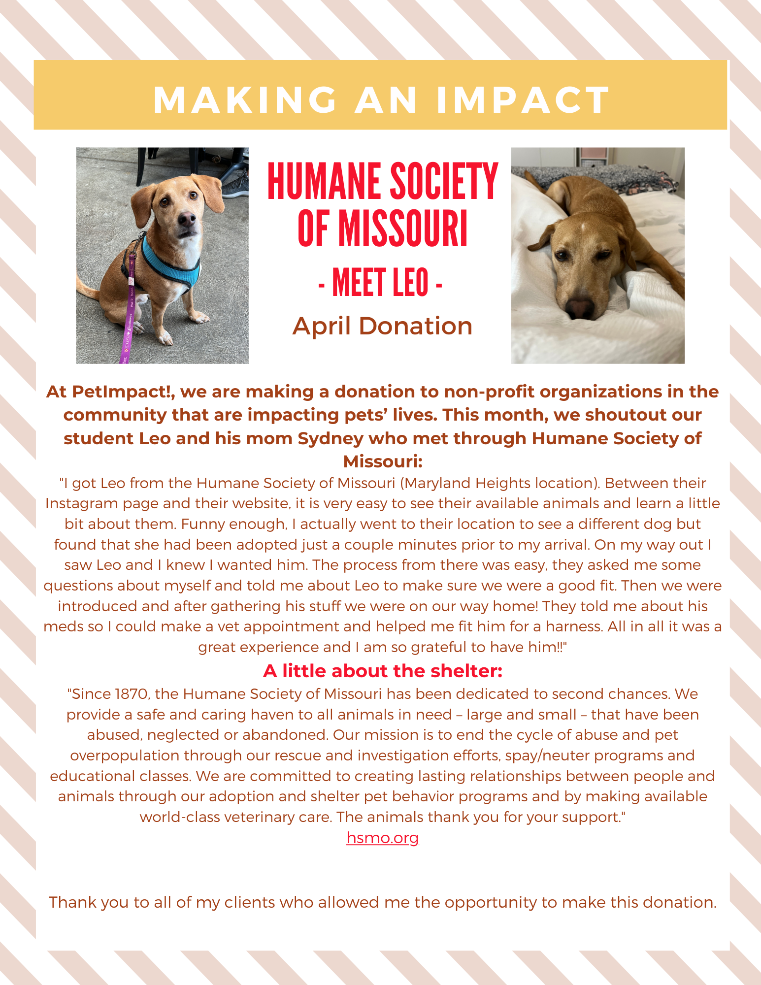 April 2024 Donations — St. Louis, MO — PetImpact! Dog Training