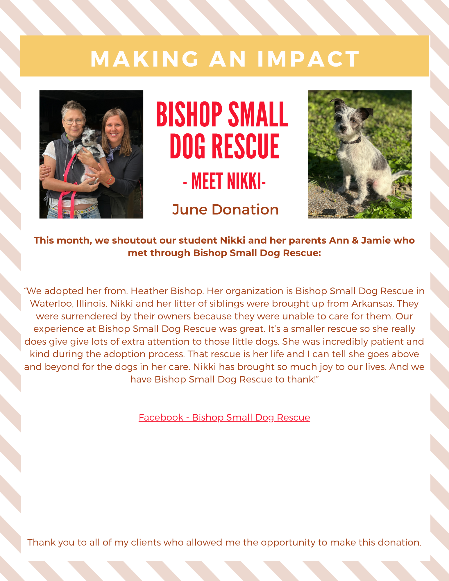 Newsletter about PALS Animal Shelter featuring photos of a dog named Goose and text about a February donation.