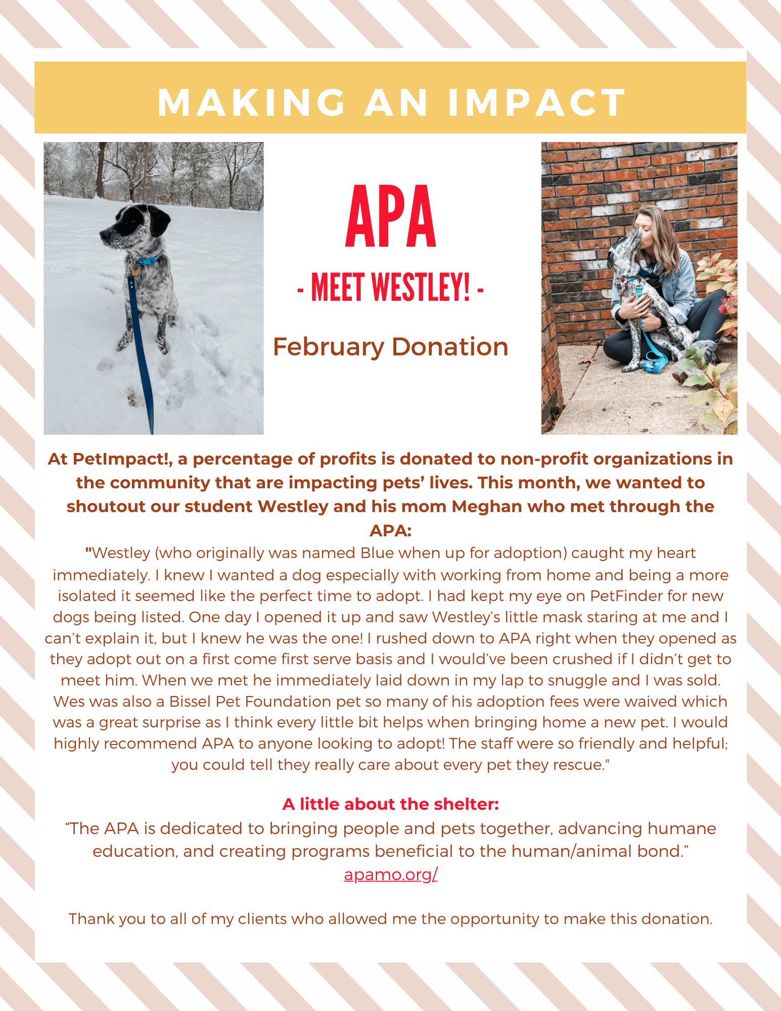 APA newsletter with photos of a dog in snow and people with a child. 