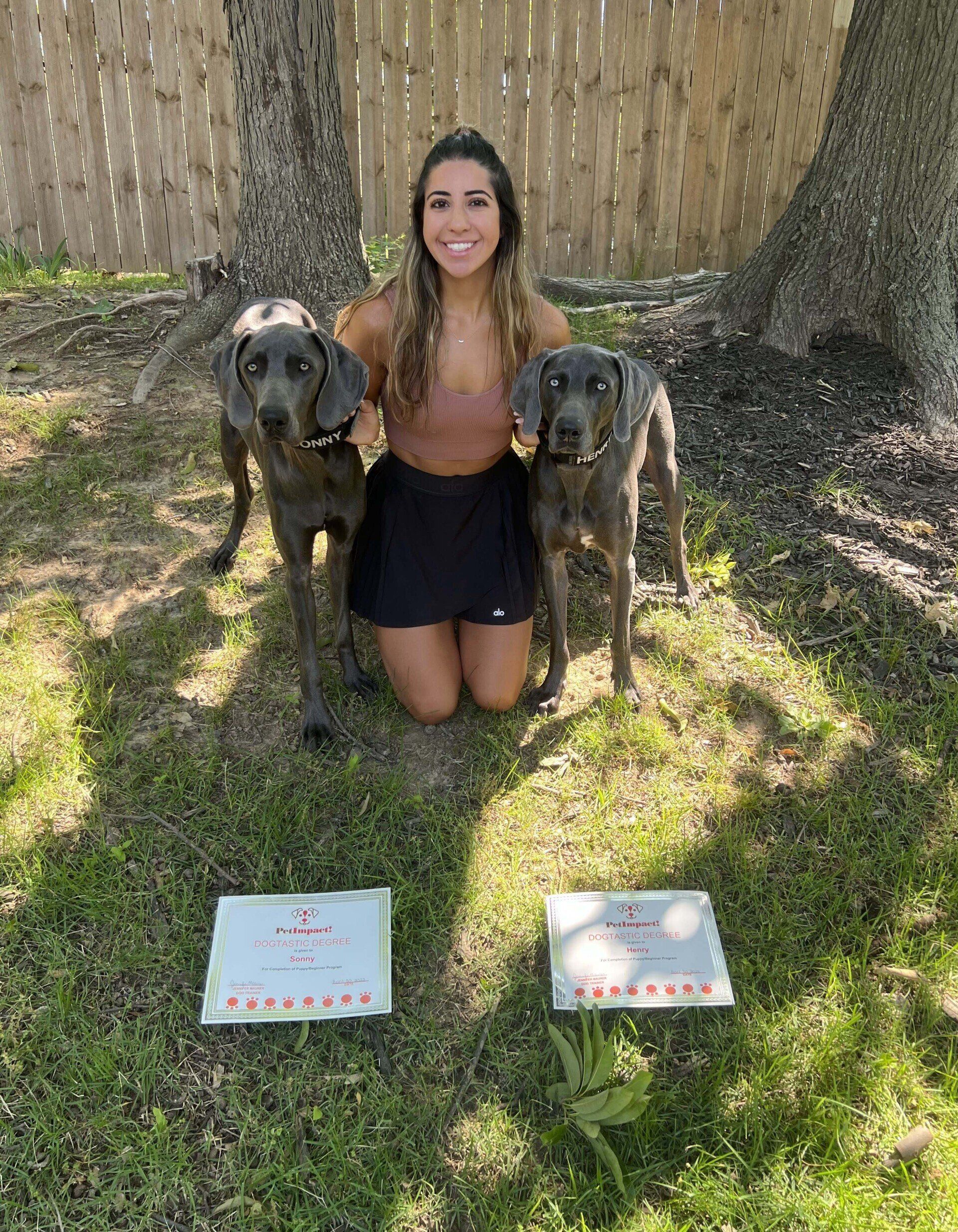 Woman kneeling with two blue dogs, two awards on the grass in a sunny backyard.