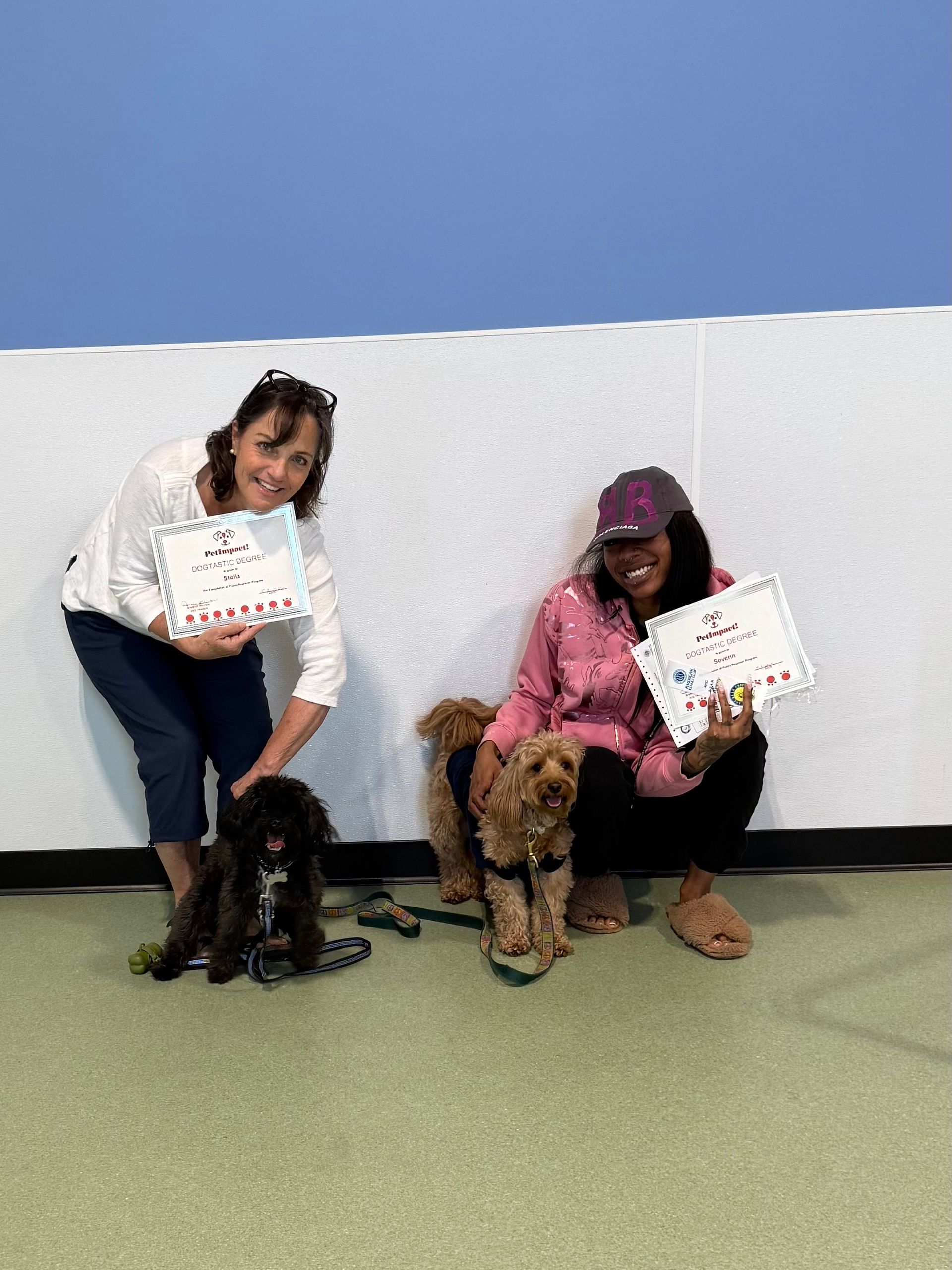 Two people kneel with dogs indoors against a blue-and-white wall.