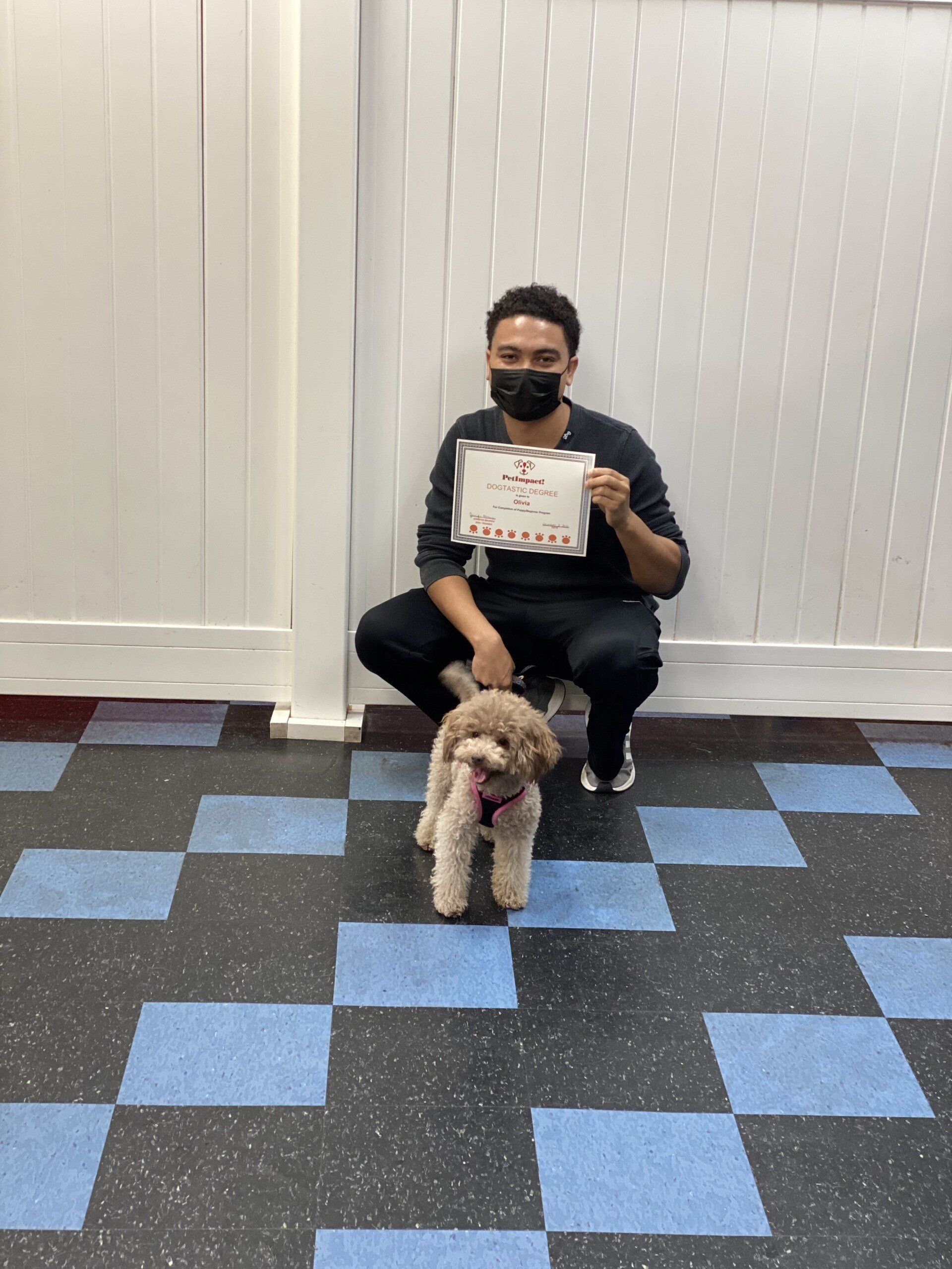 Owner With Certificate and Dog — St. Louis, MO — PetImpact!