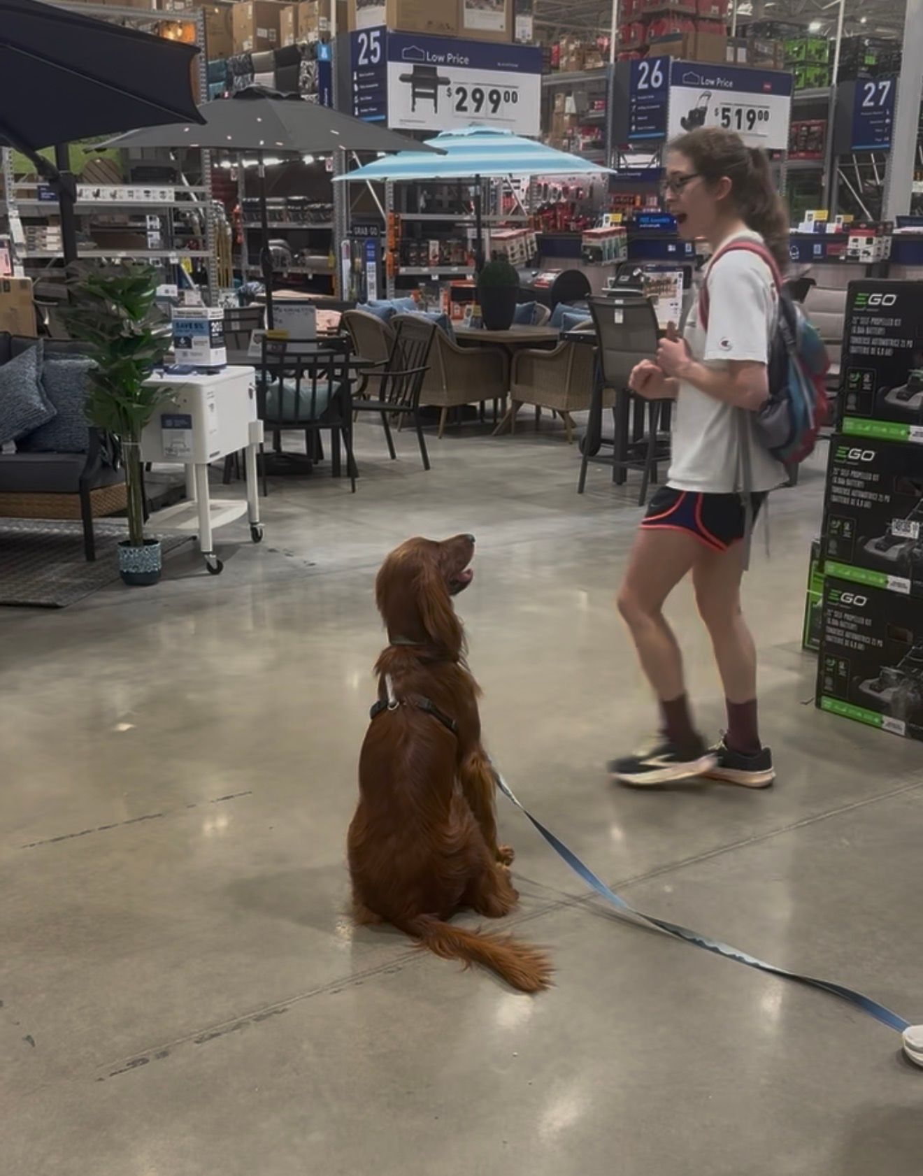 Brown dog sits on a leash in a store aisle while a woman walks nearby.