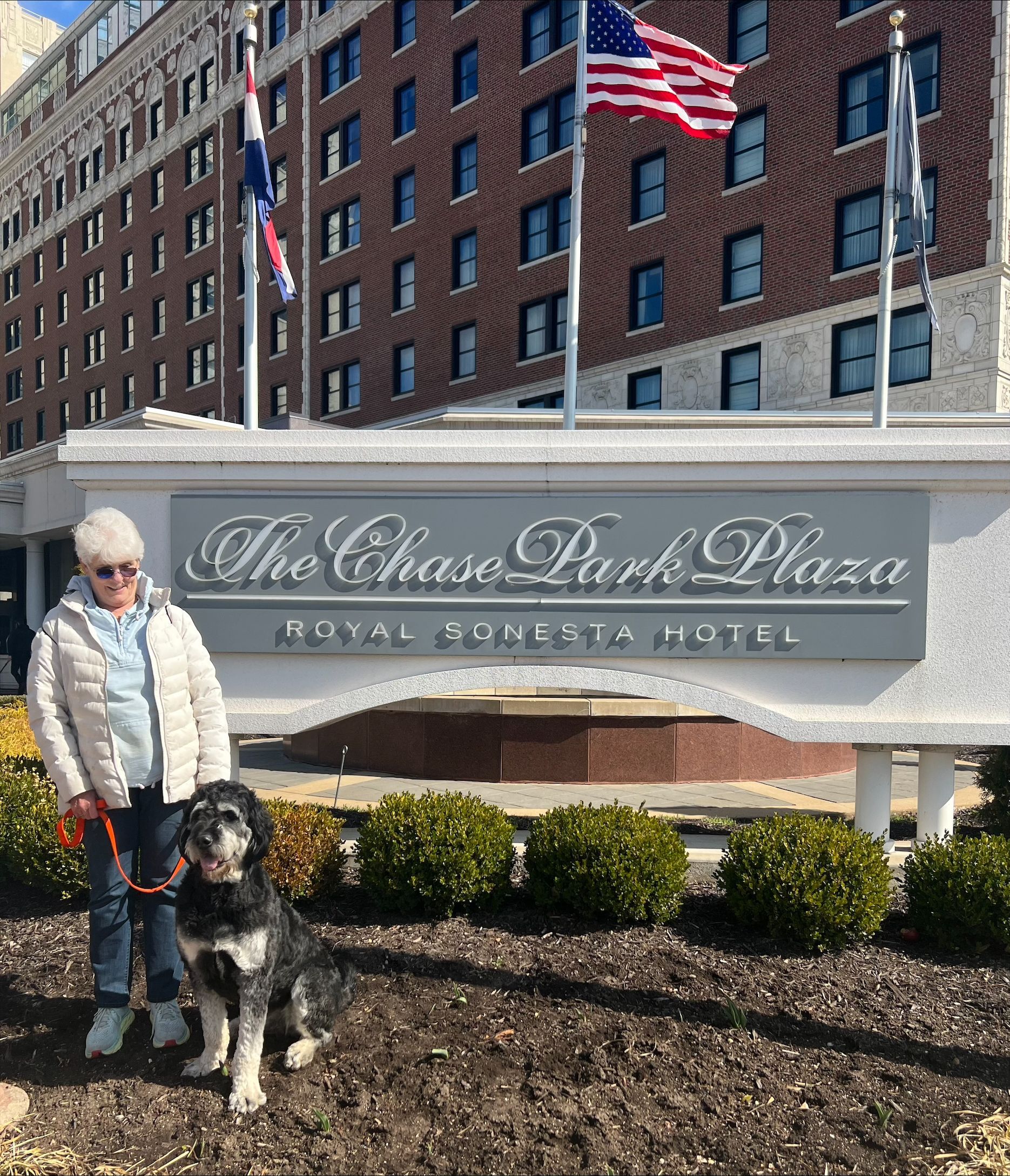 Cute Black And White Dog With The Owner — St. Louis, MO — PetImpact! Dog Training