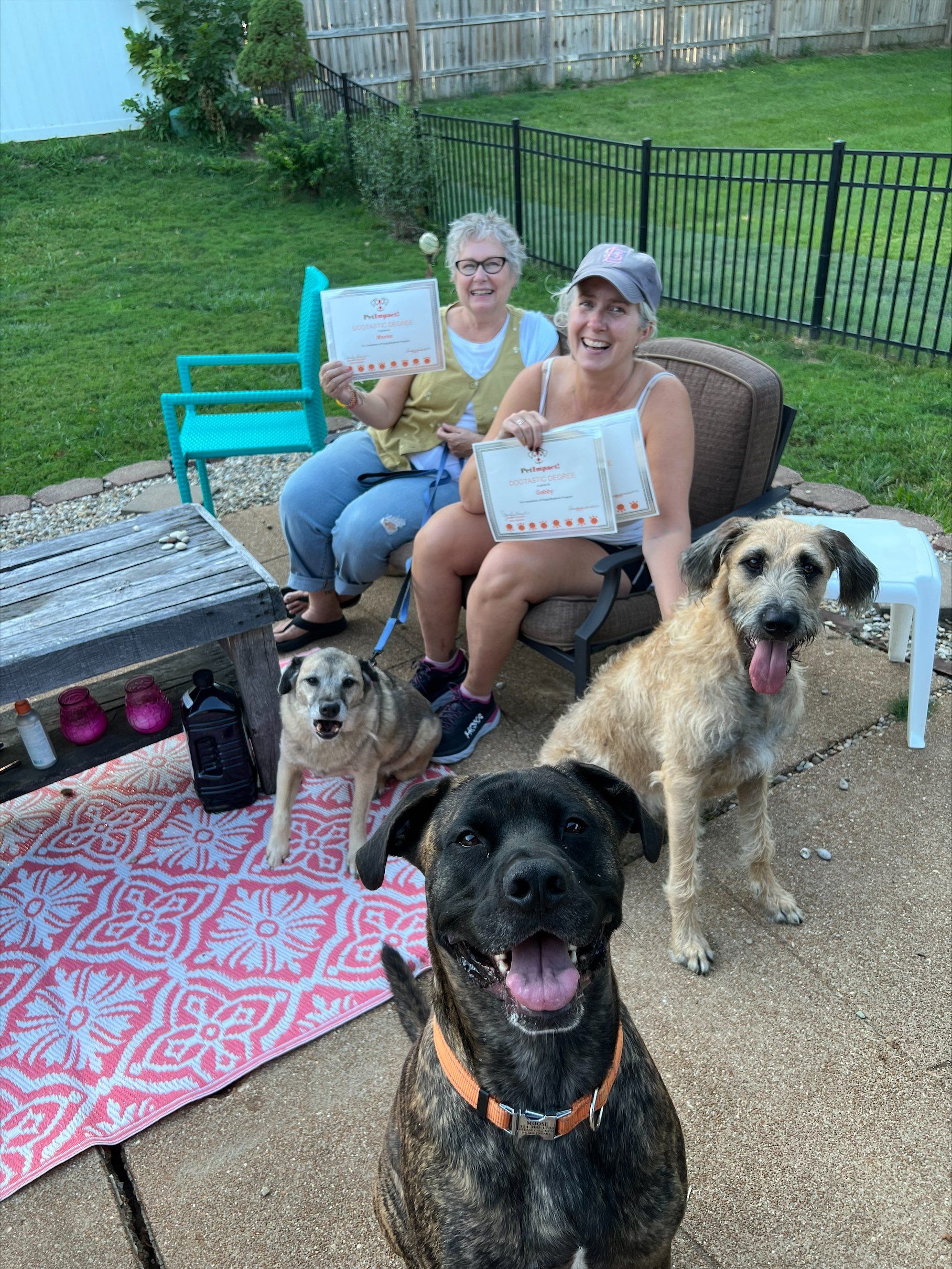 Dogs Certificate -  St Louis County, MI - PetImpact! Dog Training Services