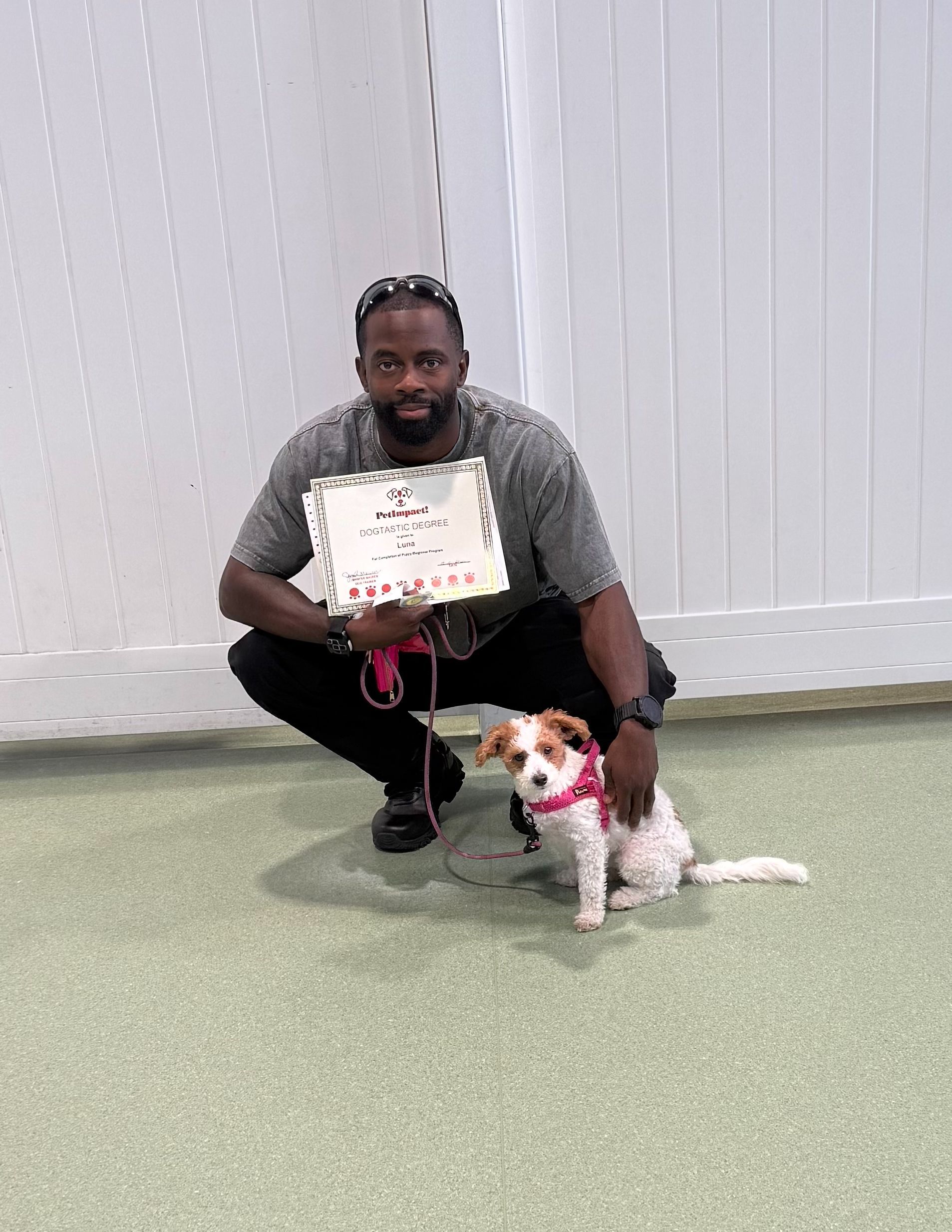 Person kneeling indoors with a white sign beside a small white-and-brown dog on a pink leash