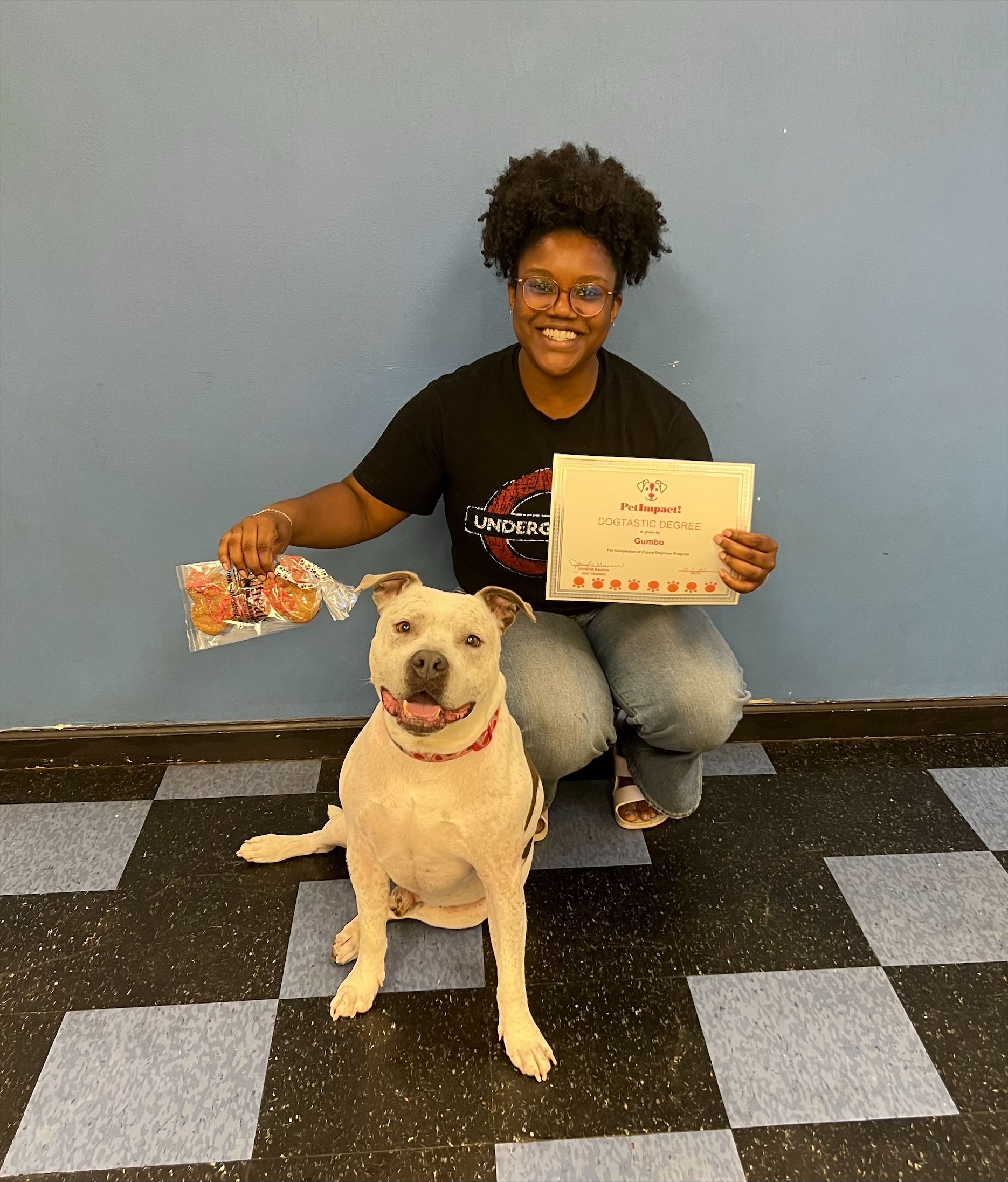 Dog Owner and their Certified Dog — St. Louis, Mo — Petimpact!