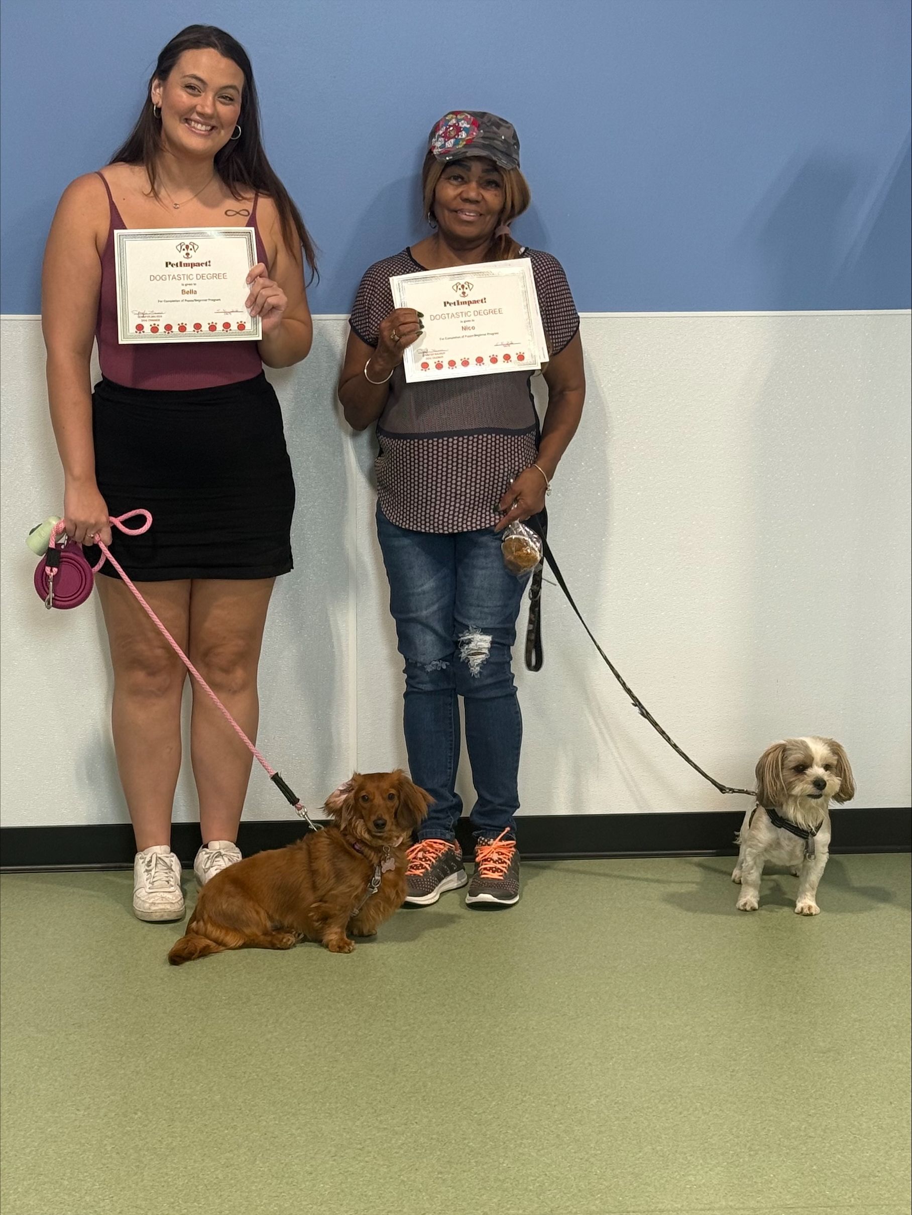 Two people holding certificates with two small dogs on leashes in front of a blue and white wall.