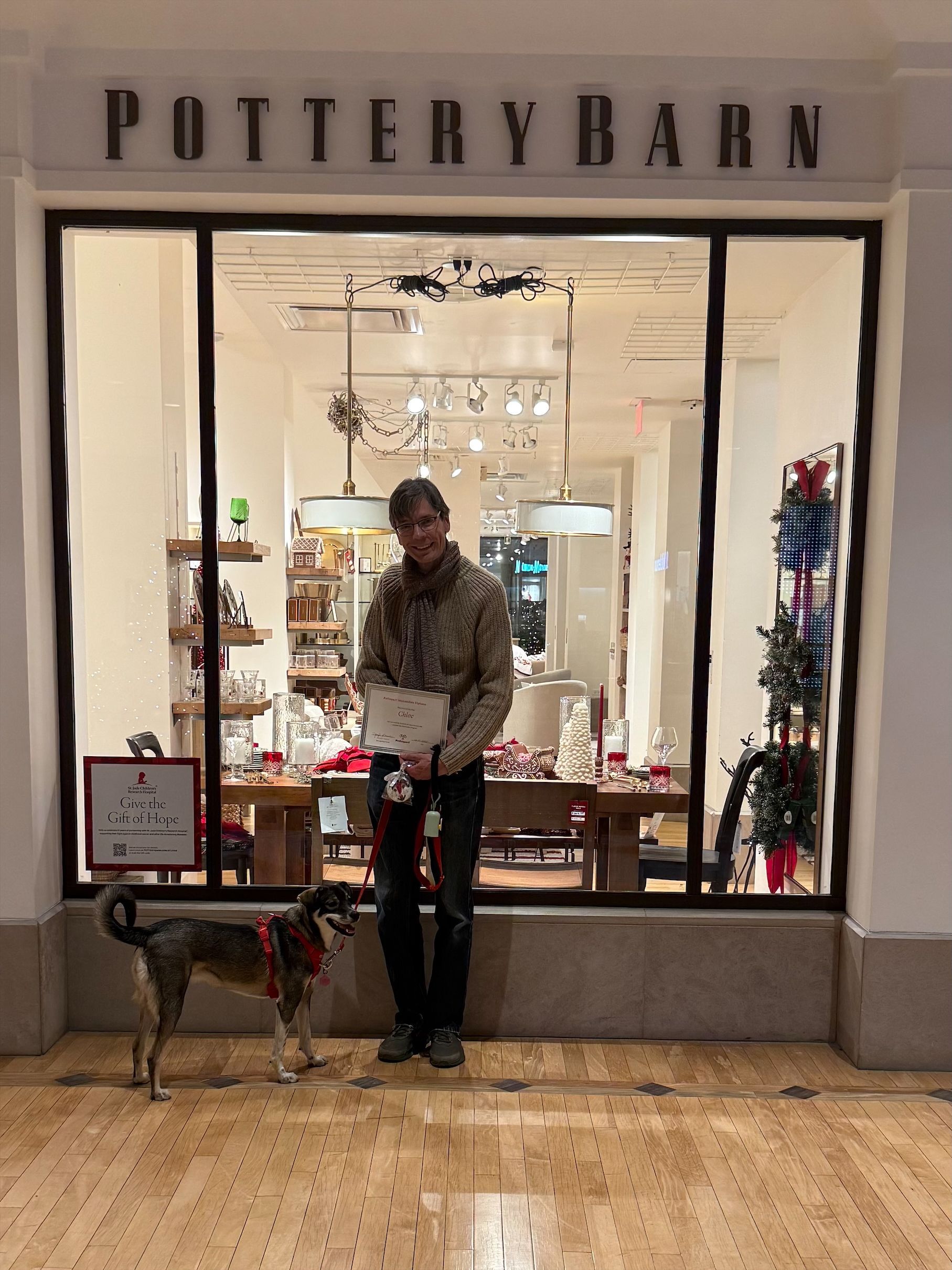 Person standing in the window of a Pottery Barn store, holding a flower arrangement