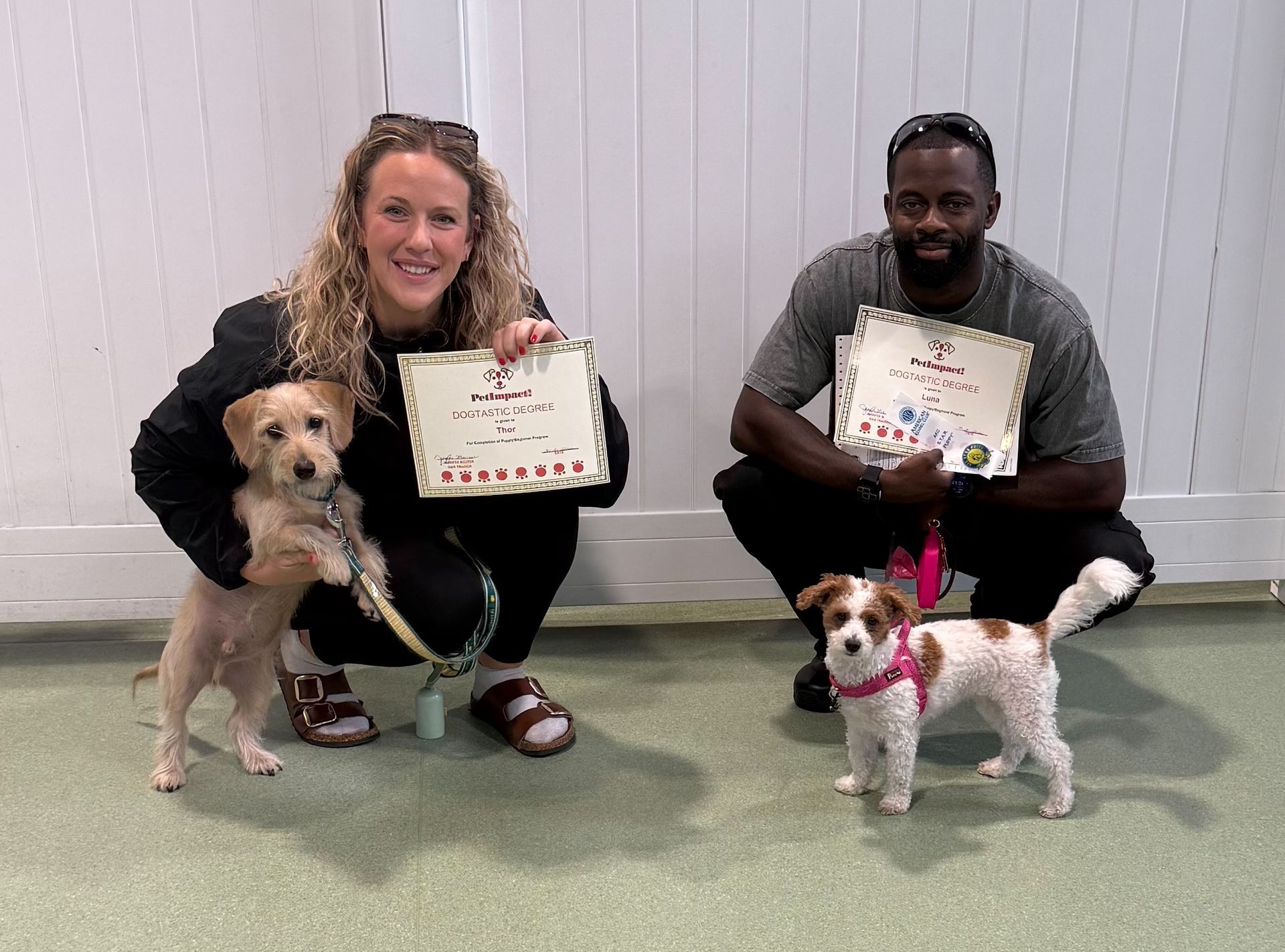 Two people kneel with two small dogs, each holding a framed certificate against a plain wall.