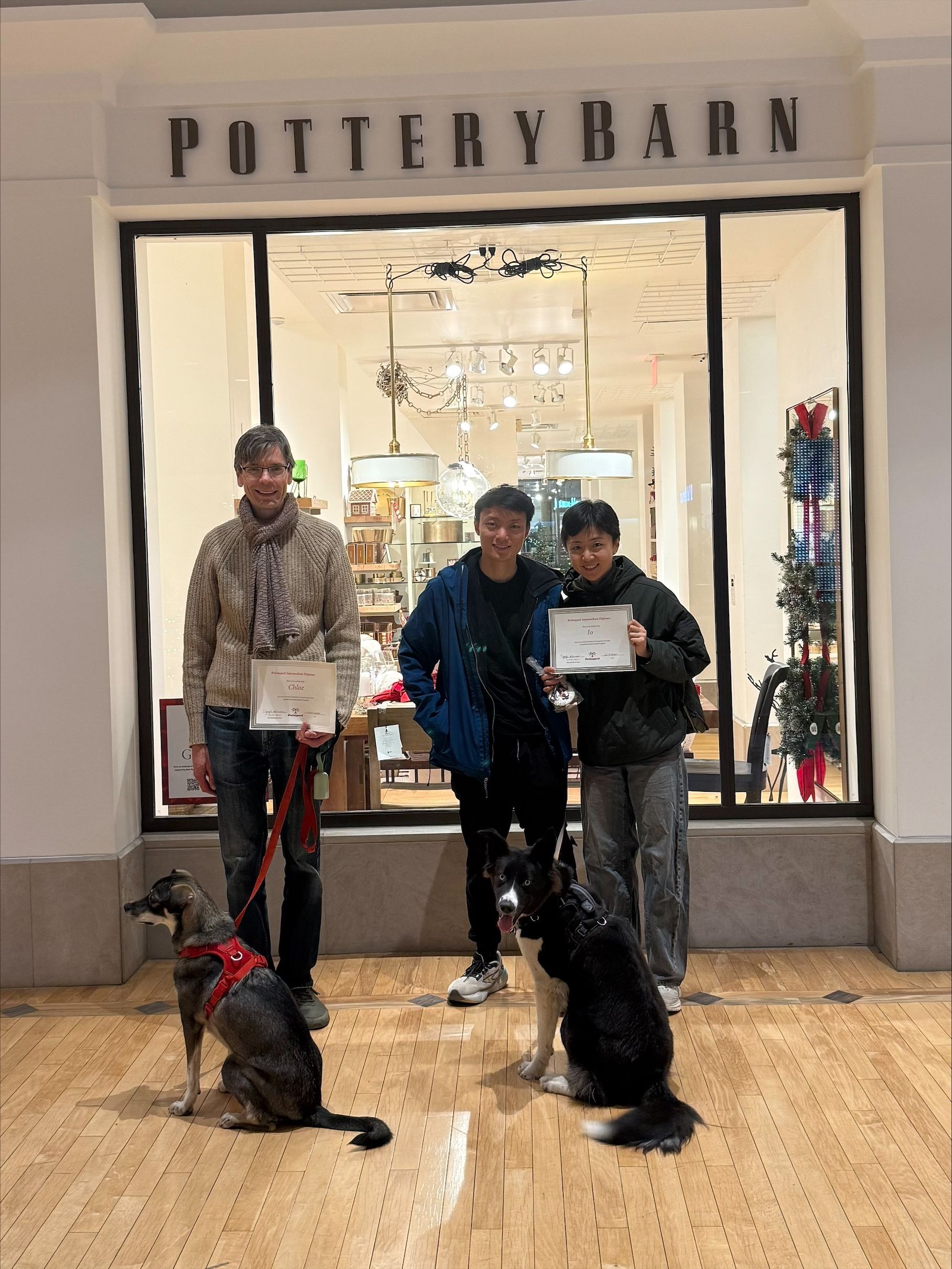 Three people with two dogs posing outside a bright storefront labeled “POTTERY BARN.”