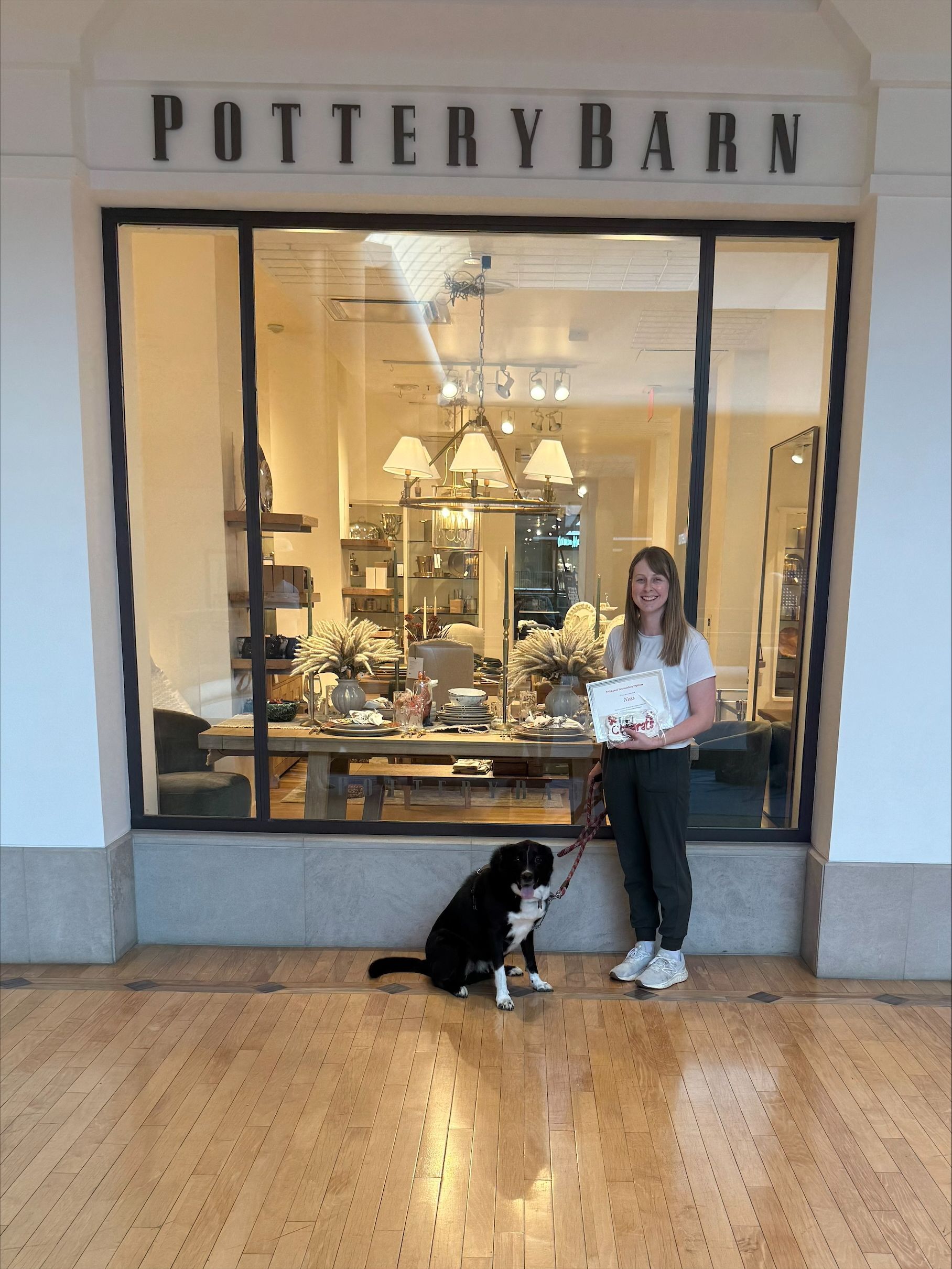 Person and dog standing outside a Pottery Barn store window display.