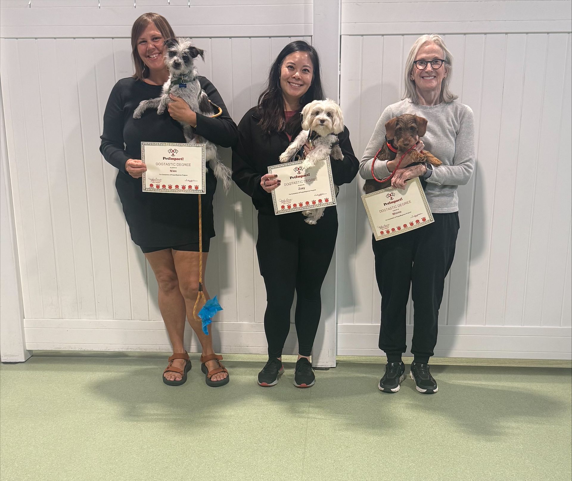 Three people holding small dogs and certificates, standing indoors against a white wall.