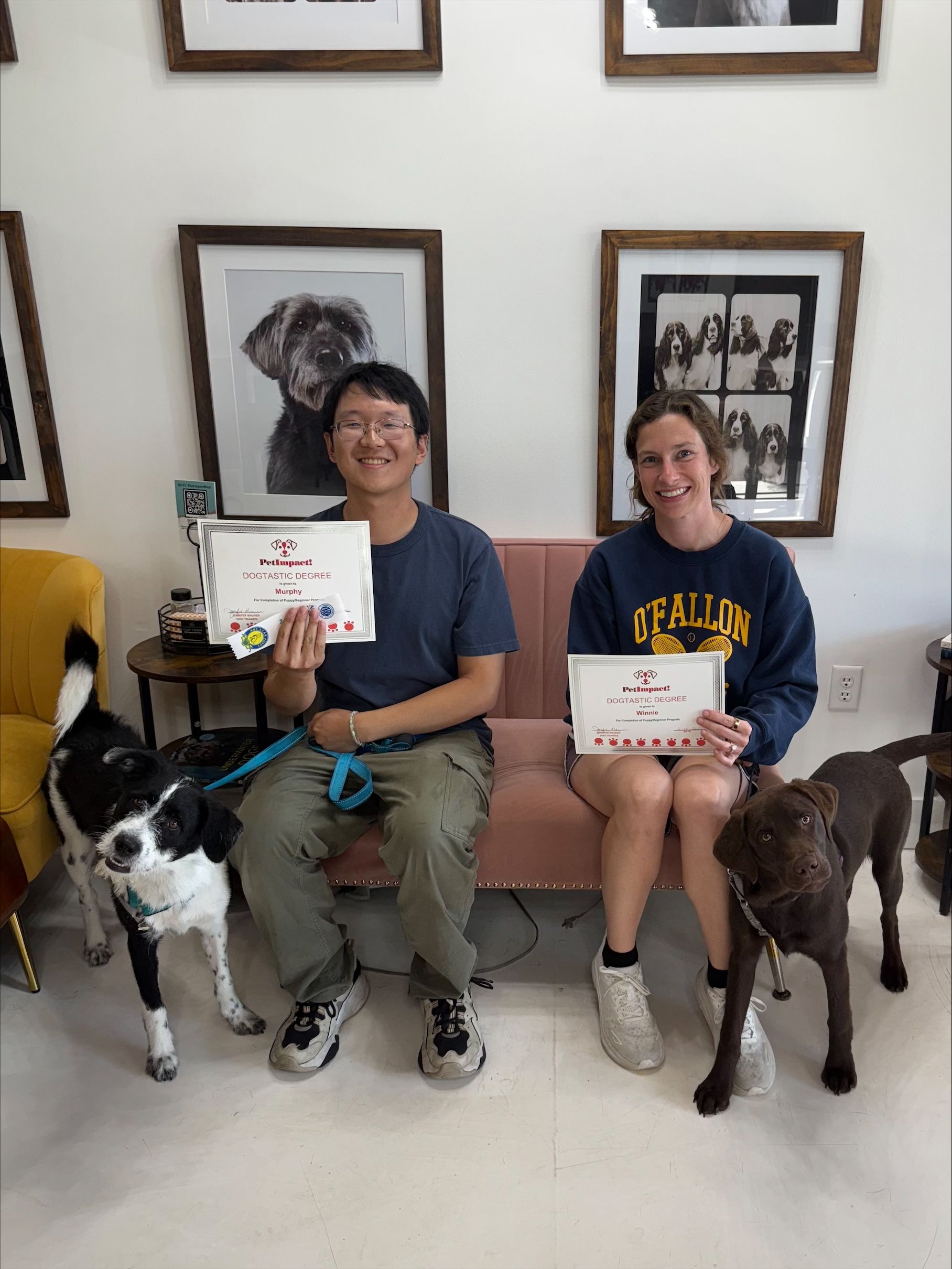 Two people seated indoors holding certificates, with two dogs beside them and framed artwork on the wall.