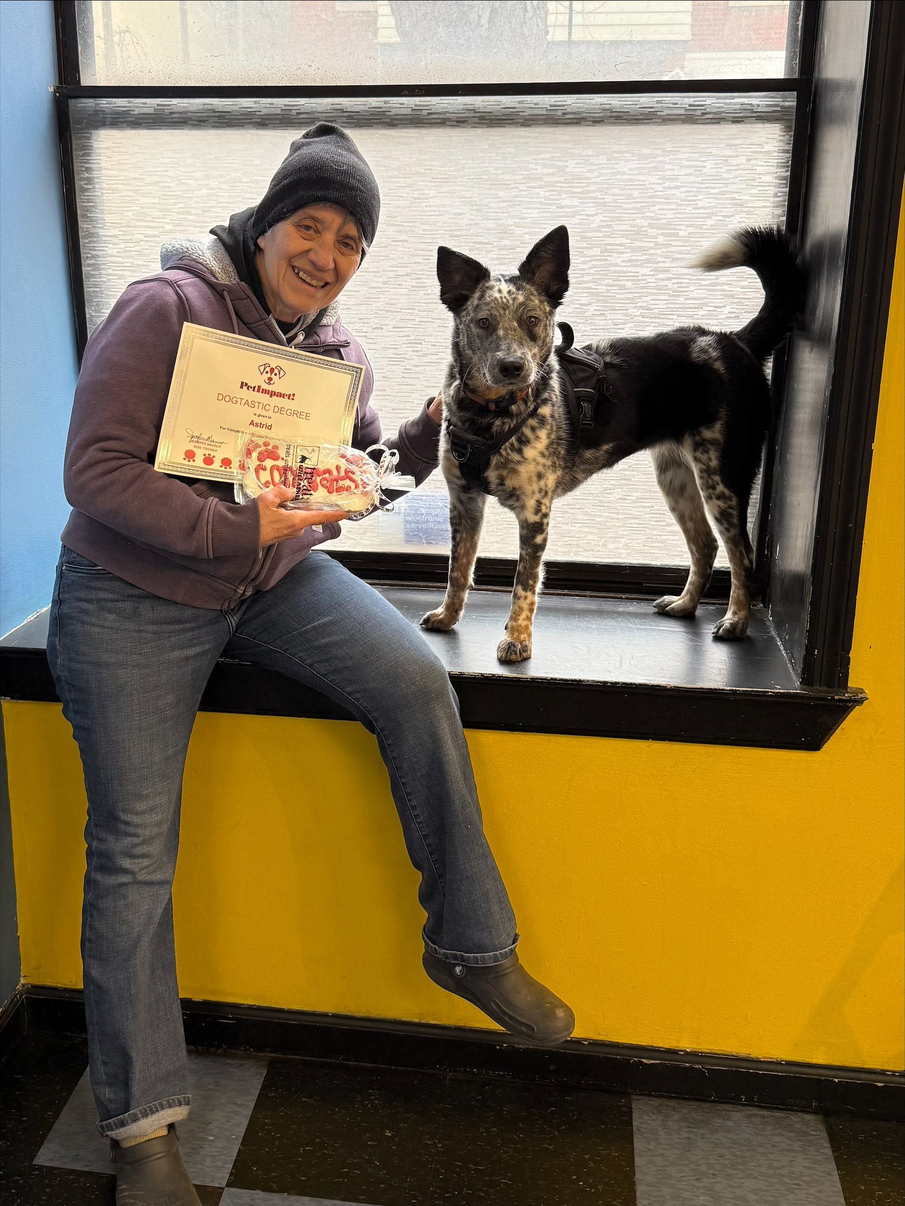 Person sitting by a window holds a colorful sign next to a black-and-tan dog on the ledge.