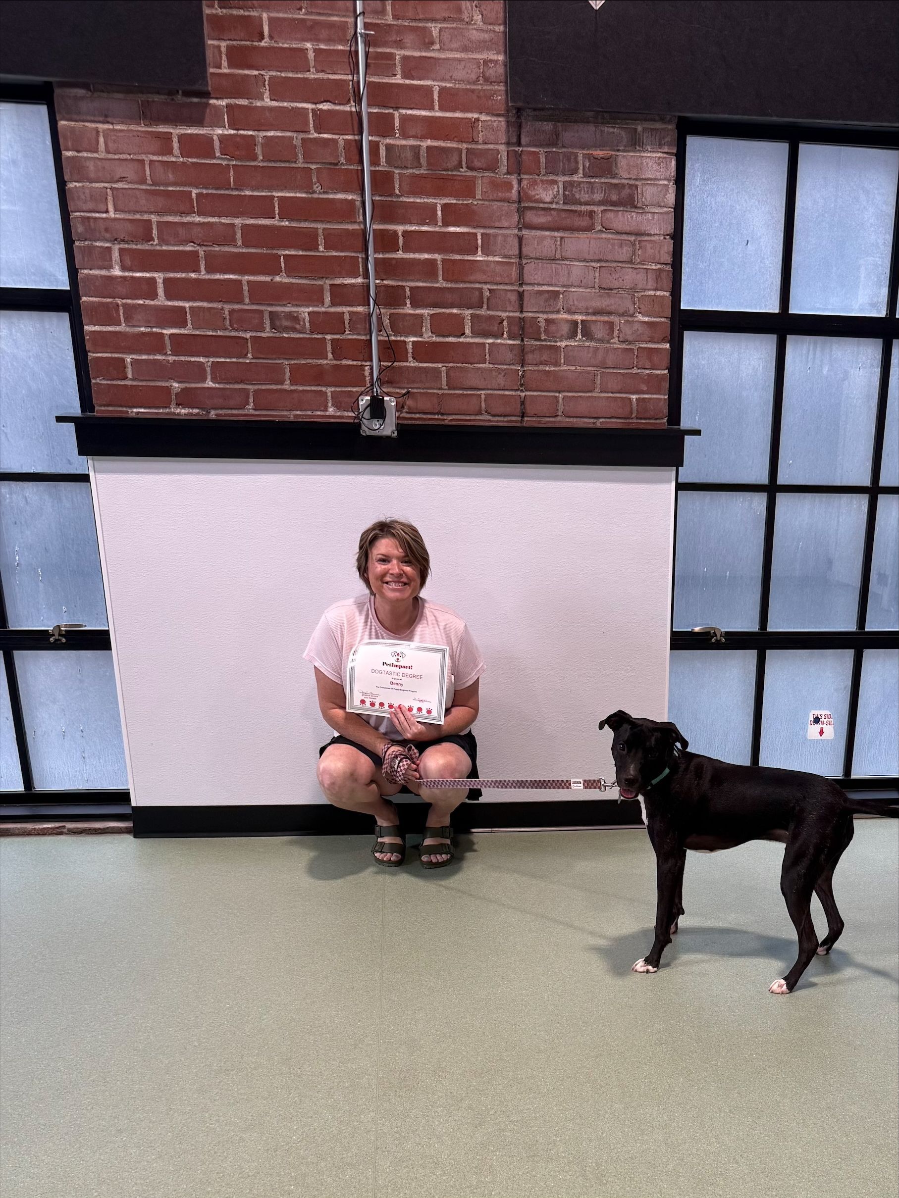 Person sitting on a bench with a black dog in a brick-walled room