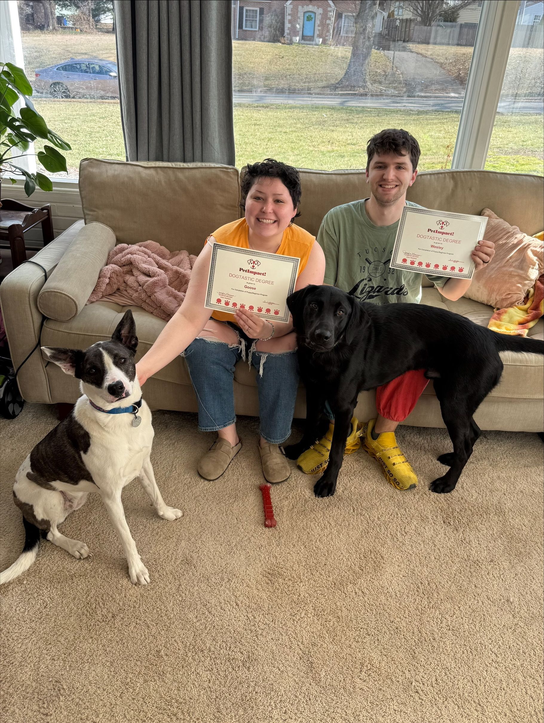 A person sits on a sofa with two dogs and another person, all holding signs in a bright living room.