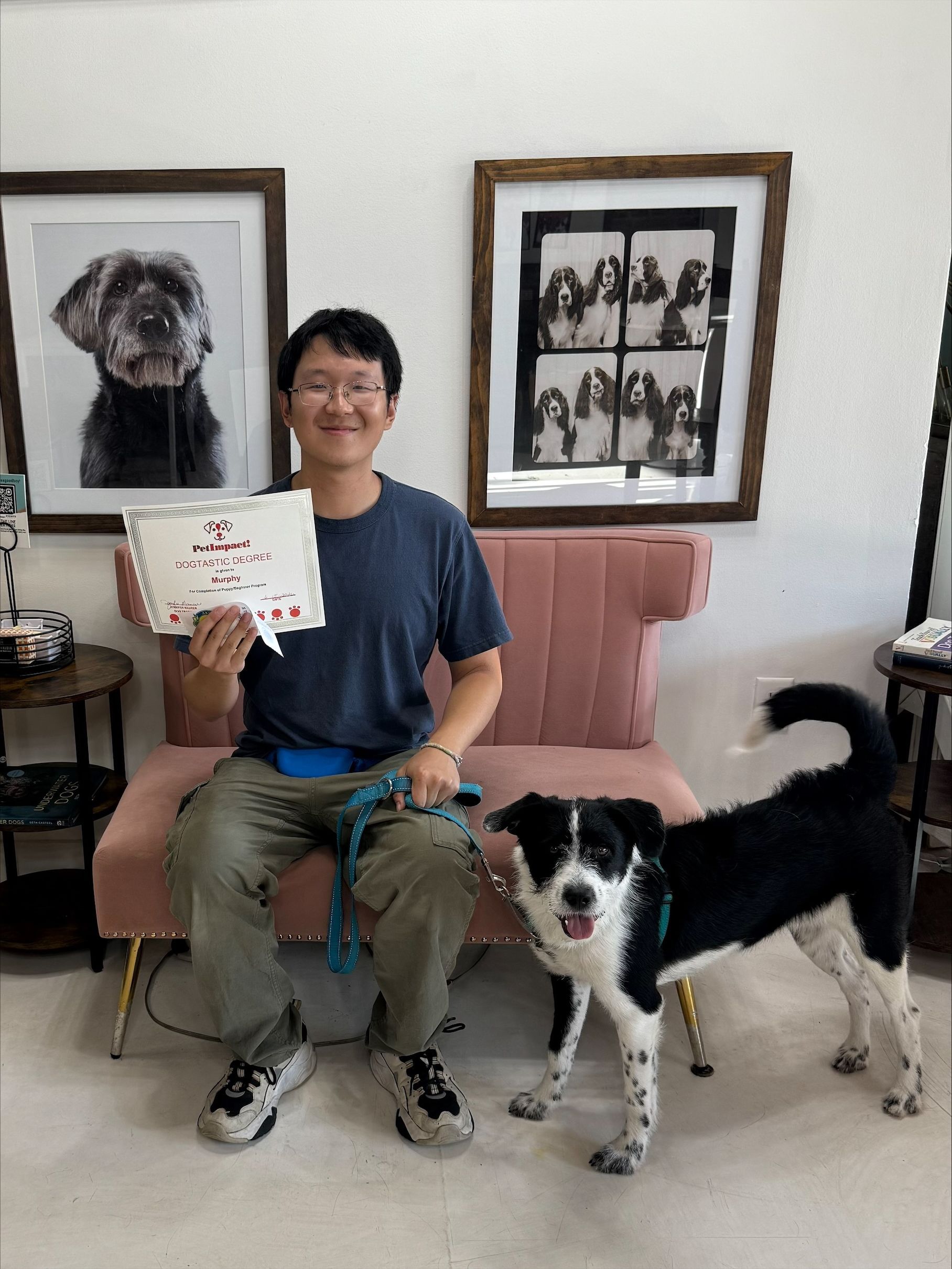 Man seated with a dog and certificate in a living room, with framed dog portraits on the wall.