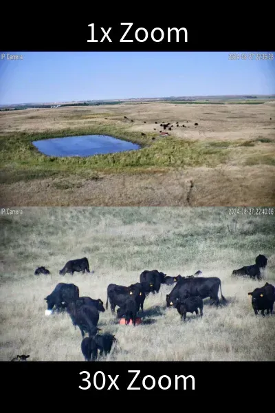 Livestock Monitoring System