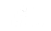 eagle eye surveillance security cameras
