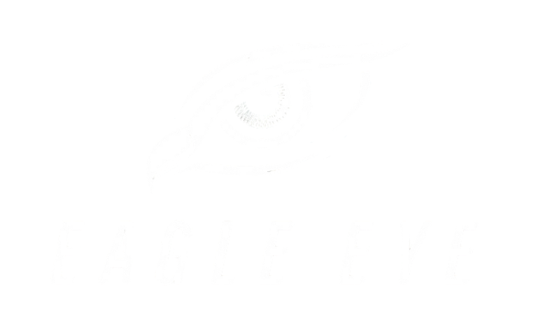 Security Surveillance Cameras by Eagle Eye
