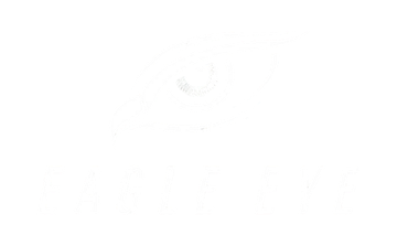Eagle Eye Security Cameras