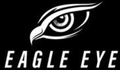 eagle eye surveillance security cameras