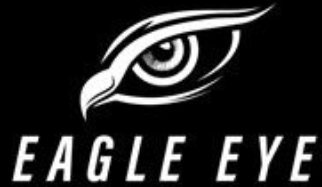 eagle eye surveillance security cameras