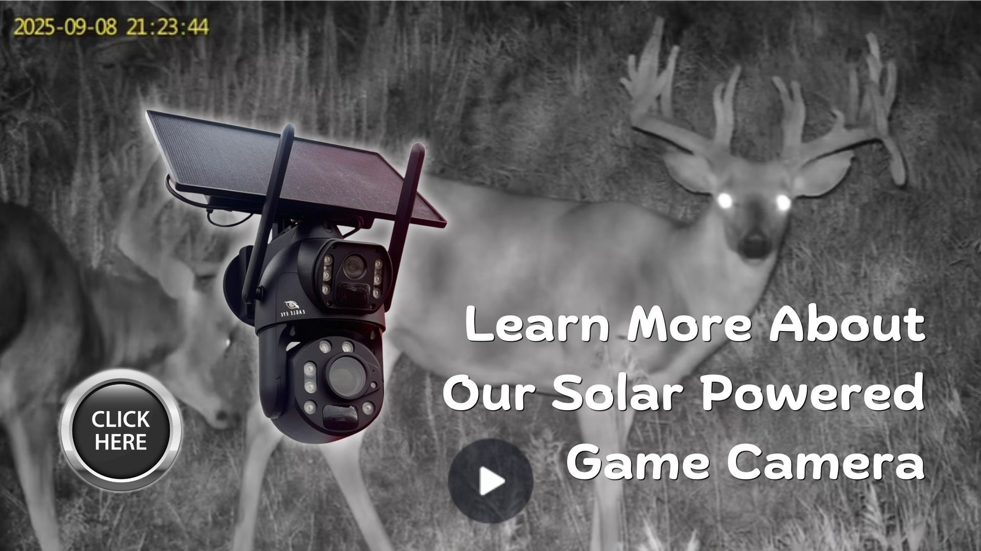 Buy the Solar Powered Security Camera