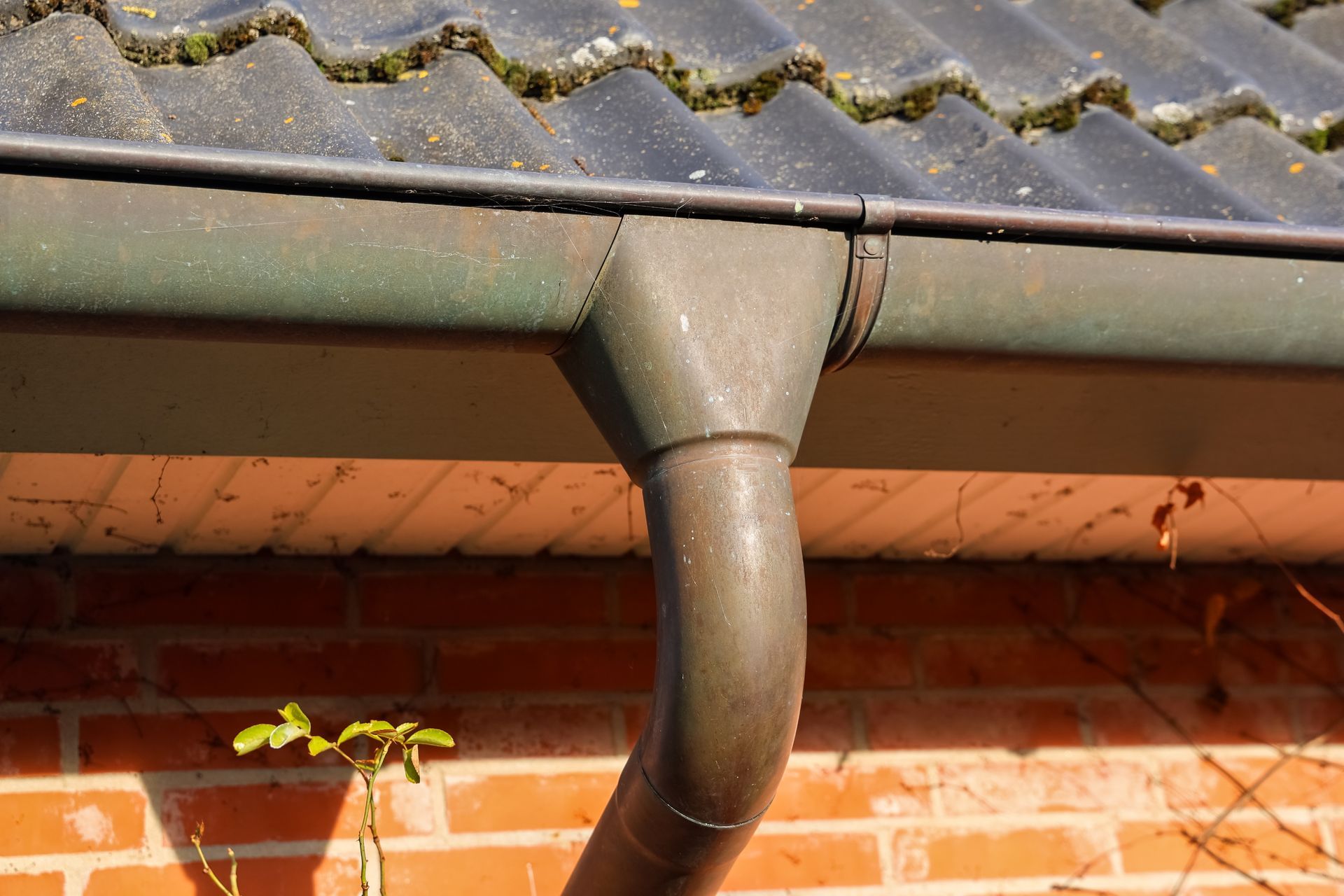Gutter downspout on a brick house under a tiled roof, with a small plant below.