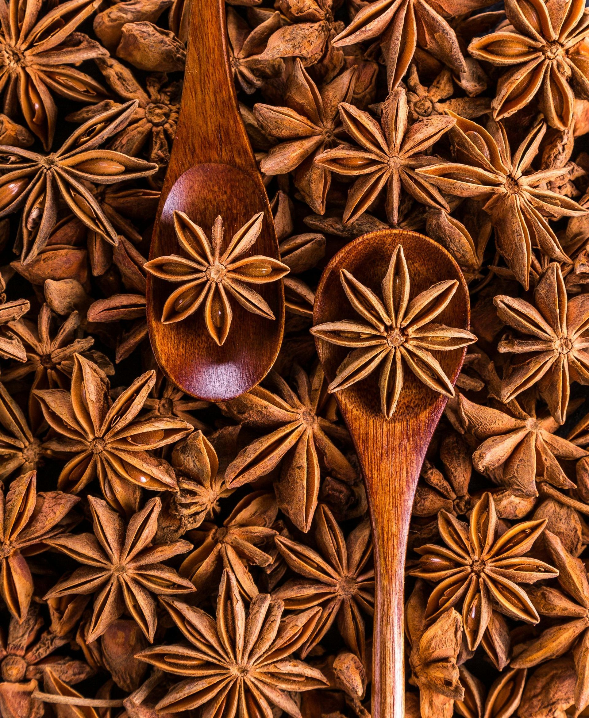 Two wooden spoons are sitting on top of a pile of star anise.