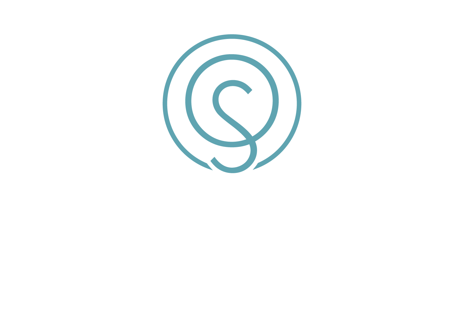 Teal circular logo with a stylized lowercase S centered on a white background
