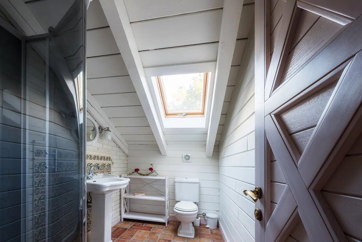 A bathroom with a toilet a sink and a skylight