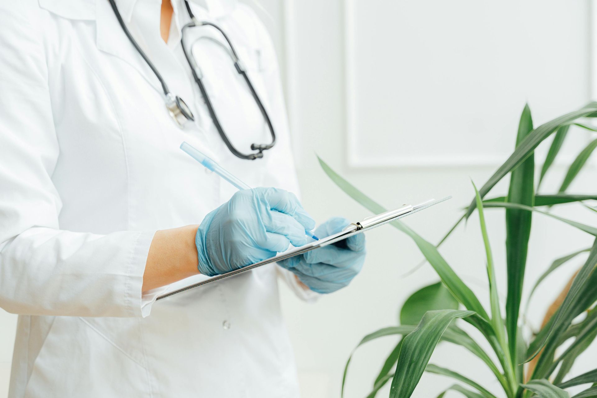 Médico de jaleco branco e luvas azuis escrevendo em uma prancheta ao lado de uma planta verde.