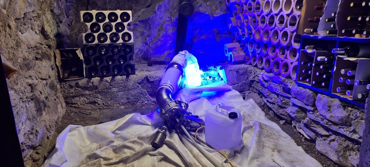 Une pièce avec beaucoup de bouteilles de vin et une lumière bleue.