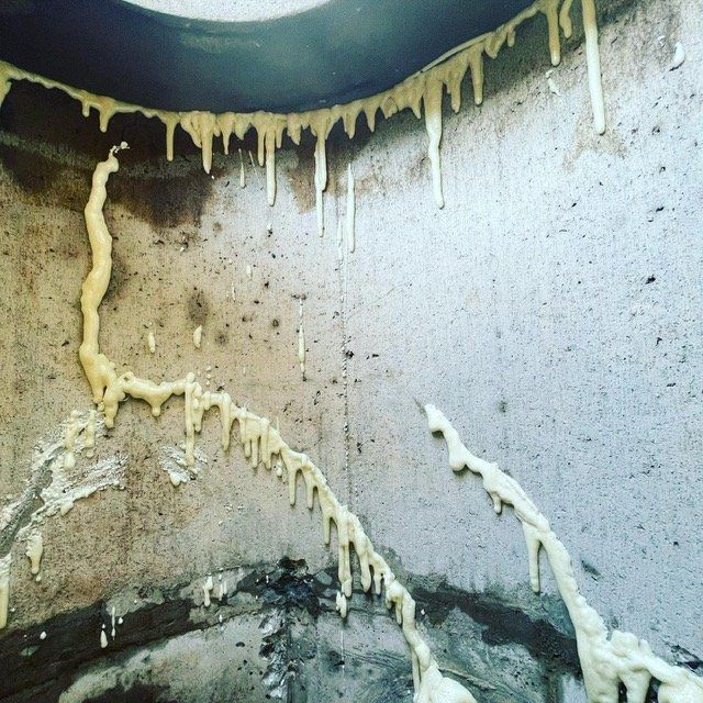 Un mur en béton avec beaucoup de mousse qui en sort
