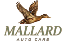 Logo for Mallard Auto Care: a duck in flight, text 
