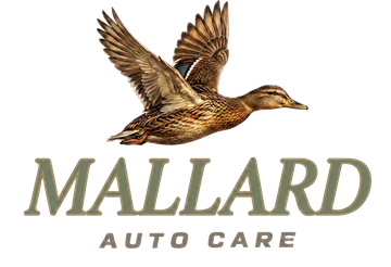 Mallard duck in flight over water and reeds, logo for Mallard Auto Care in yellow, black, and silver.