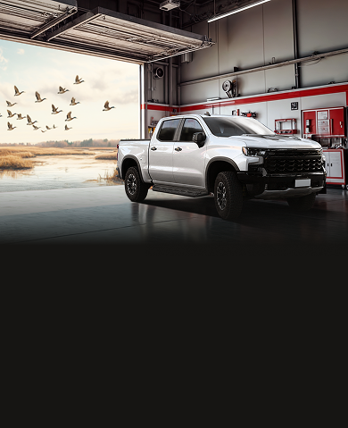 Silver pickup truck parked inside a garage with the door open, overlooking a marsh, birds flying.