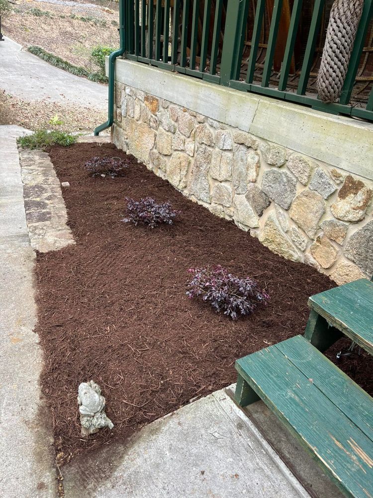 Dark mulch beds with three purple plants next to a stone wall and green bench.