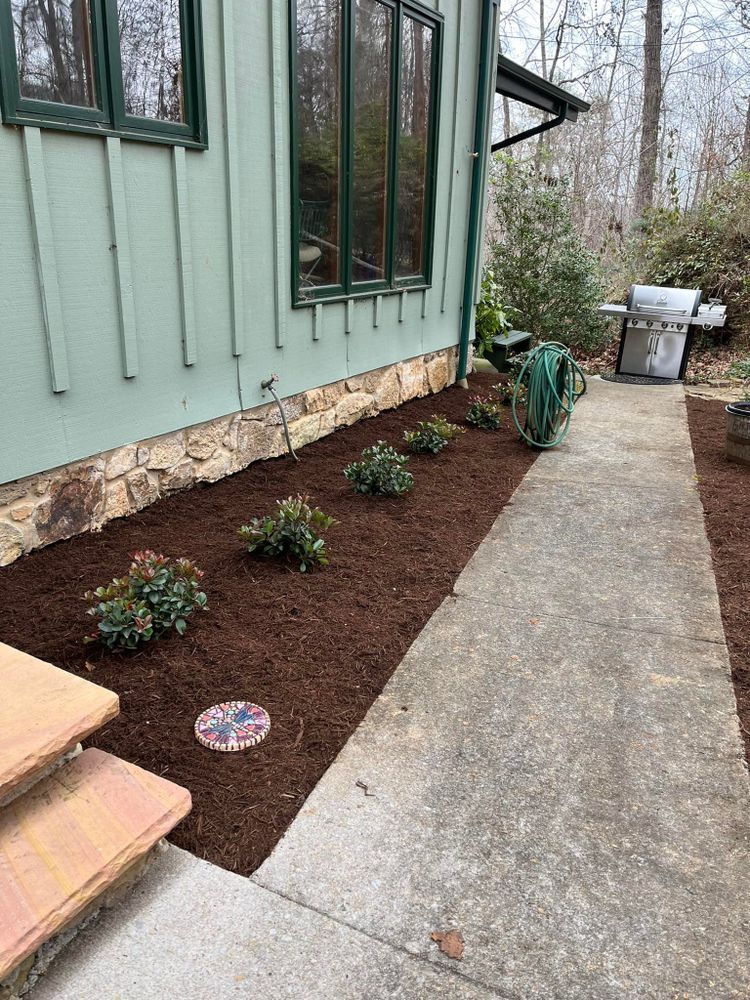A walkway alongside a house with fresh mulch and shrubs, next to a grill.