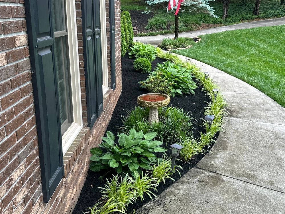 A landscaped garden bed with green plants, black mulch, and a bird bath beside a brick house and sidewalk.