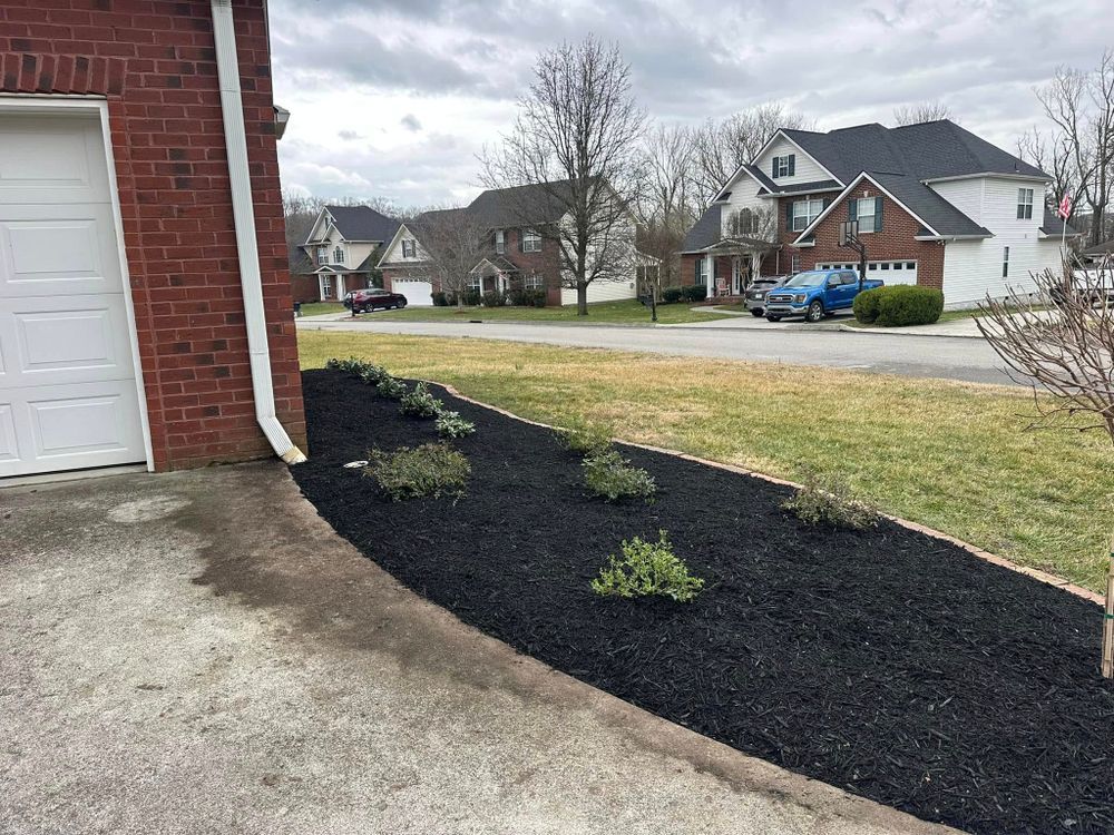 Black mulch bed with green shrubs in front of houses and a garage.